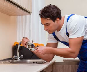About Plumbers Pros Pettus, TX
